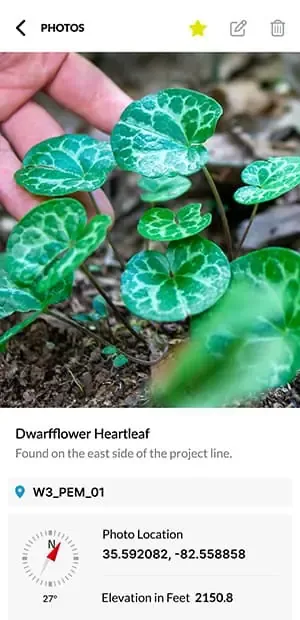 Ecobot app, photos view